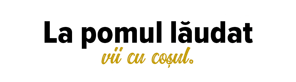 La pomul lăudat vii cu coșul 