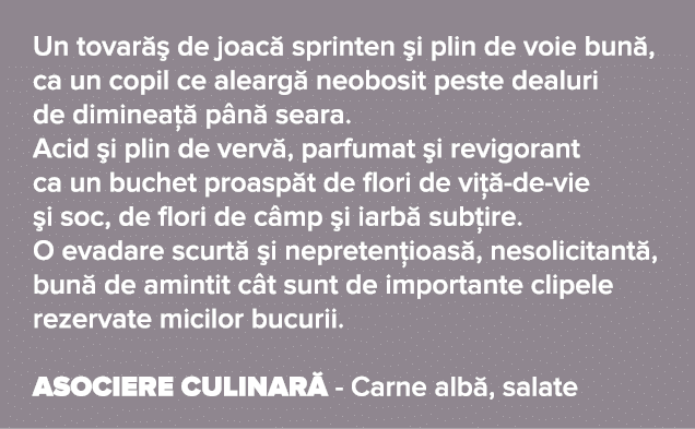 Un tovar   de joac  sprinten  i plin de voie bun , ca un copil ce alearg  neobosit peste dealuri de diminea   p n  se   