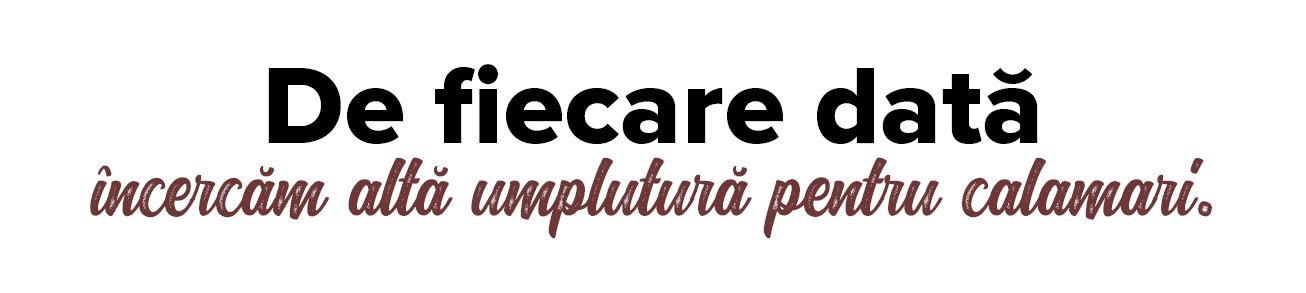 De fiecare dat   ncerc m alt  umplutur  pentru calamari  