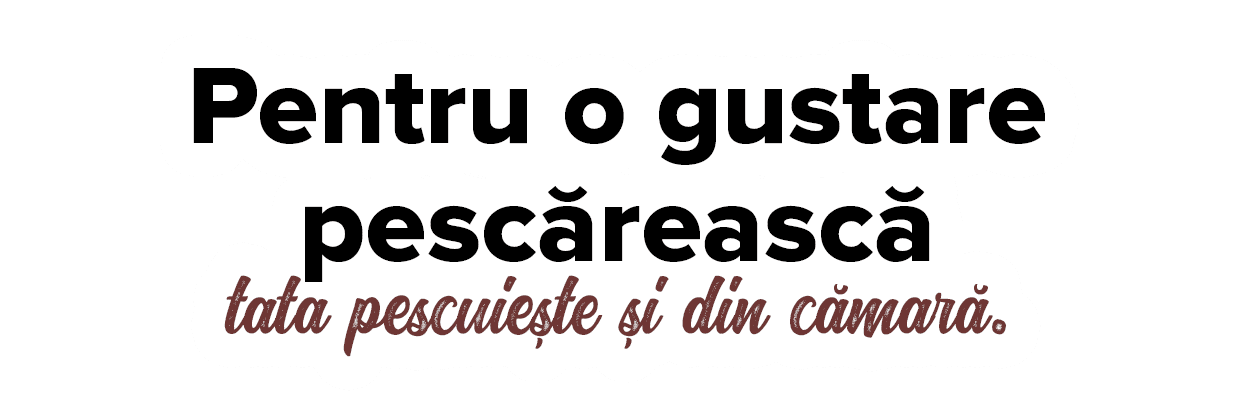 Pentru o gustare pesc reasc  tata pescuie te  i din c mar  