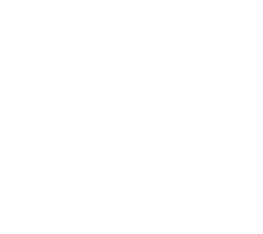 2018 SEC Ecou Sauvignon Blanc & Riesling, un vin de culoare galben p i de intensitate medie, ob inut din dou  soiuri    