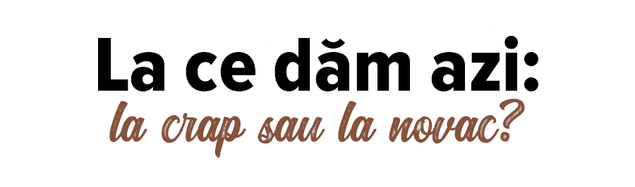 La ce dăm azi:  la crap sau la novac 