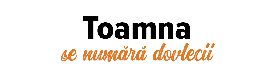 Toamna  se numără dovlecii