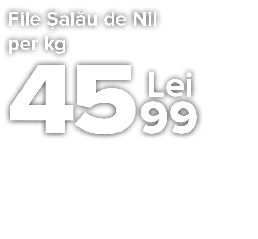 304530_Name_CA1