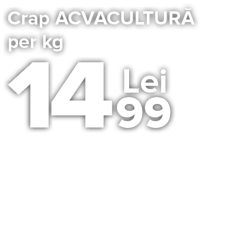 304531_Name_CA1