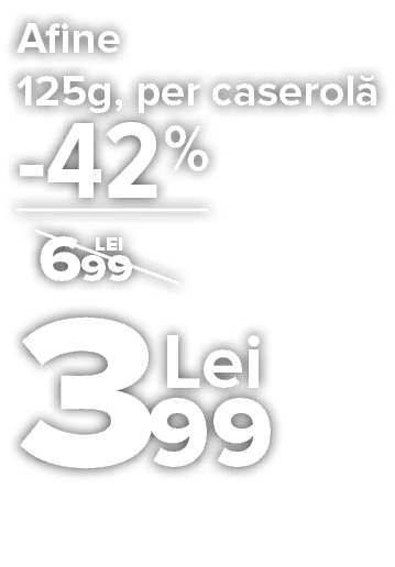 304544_Name_CA1