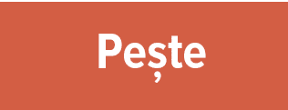 Reteta