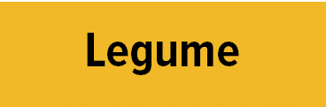 Reteta