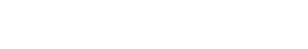 A1