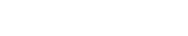 A3
