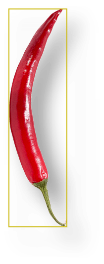 Rectangle