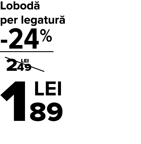 312198_Name_CA1
