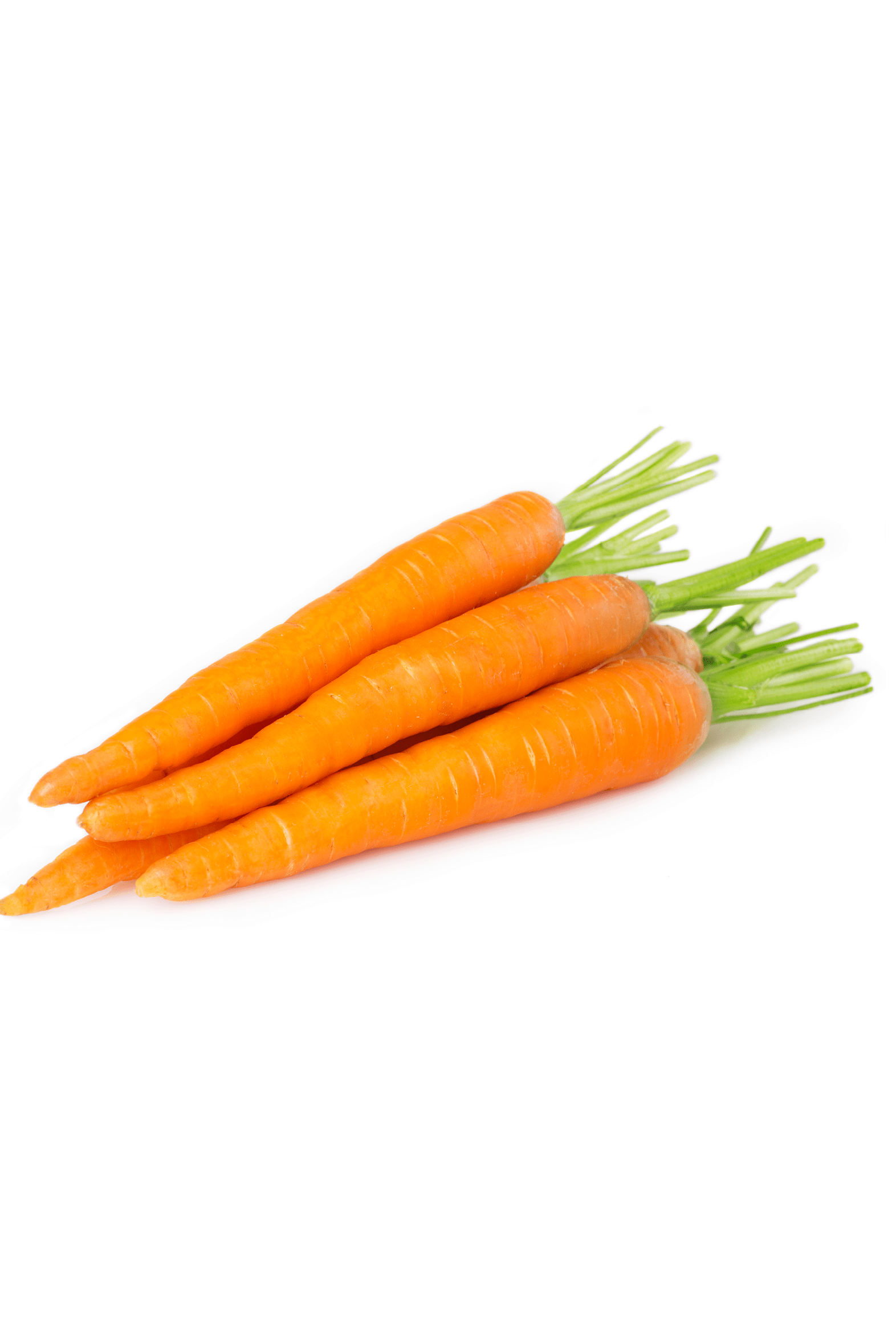 fresh carrots isolated on white background