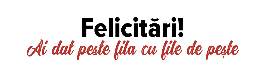 Felicitări   Ai dat peste fila cu file de pește