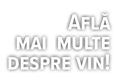 Află mai multe despre vin 