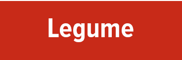 legume