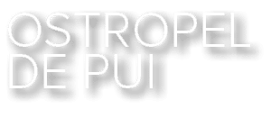 Ostropel de pui