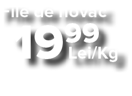 File de novac  