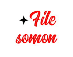  File somon