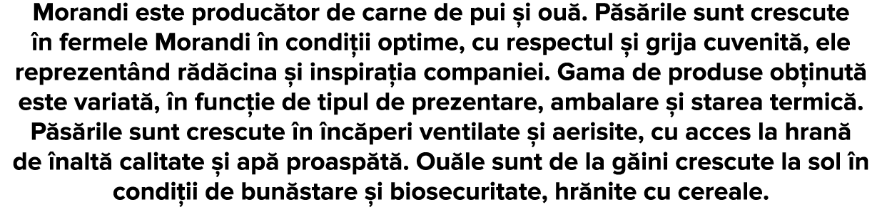 Morandi este produc tor de carne de pui  i ou   P s rile sunt crescute  n fermele Morandi  n condi ii optime, cu resp   