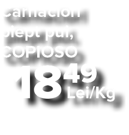 C rnaciori piept pui, COPIOSO  