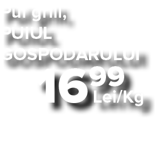 Pui grill, PUIUL GOSPODARULUI  