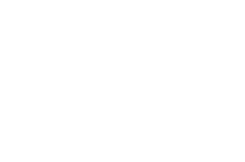Logo Carrefour