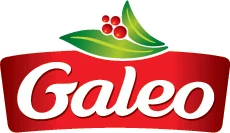 Galeo