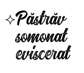   P str v somonat eviscerat